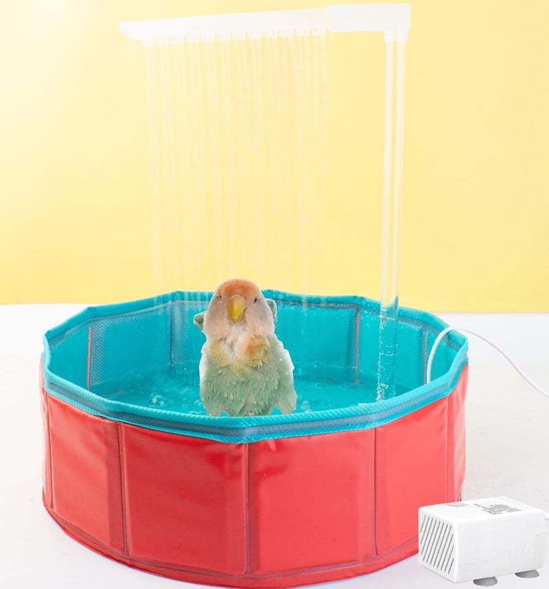 FlidRunest Bird Automatic Bath Shower, Portable Bird Bathtub with Pump, Parrot Bath tub Contains Circulating Controller, USB and Pump, Pool Bathing Tub for African Grey Conure Lovebird Parakeet - Image 4